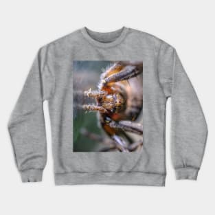 Macro Friendly Spider Photograph Crewneck Sweatshirt